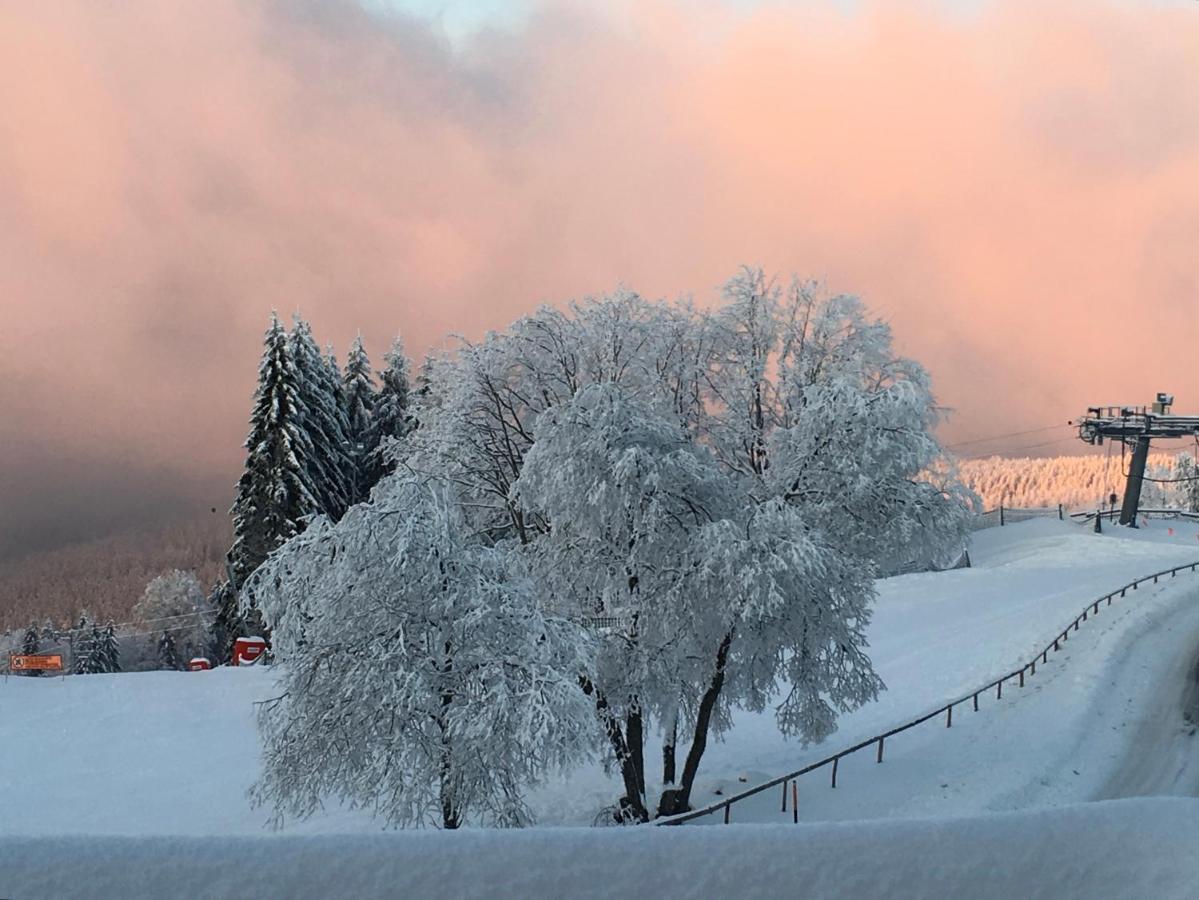 Hotel Restaurant Mont Champ Du Feu Belmont  Zewnętrze zdjęcie