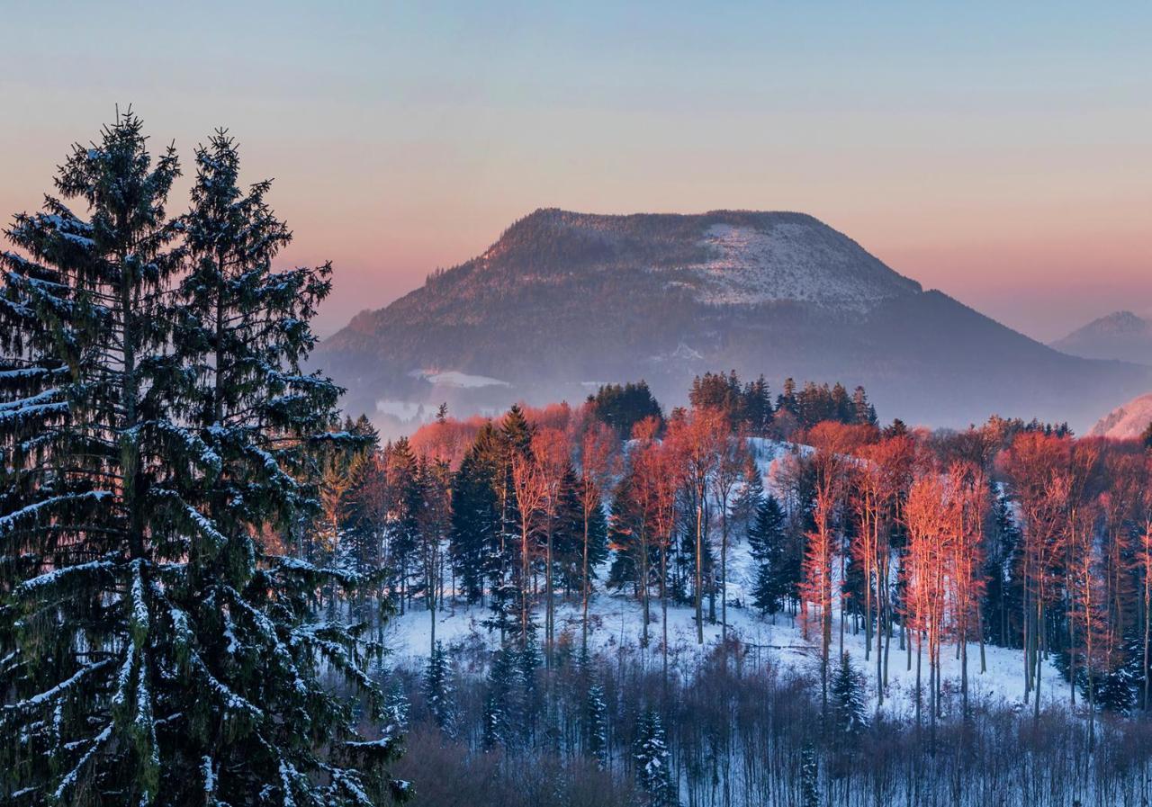 Hotel Restaurant Mont Champ Du Feu Belmont  Zewnętrze zdjęcie